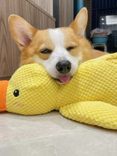 Duck Dog Toy